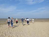 Nordfriesland Husum Nordstrand Wattwanderung