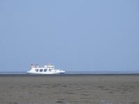 Nordfriesland Husum Nordstrand Wattwanderung