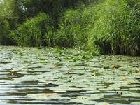 Grachtenfahrt Nordfriesland 