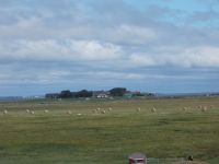DSCN5299.JPG  Hallig Hooge