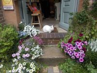 DSCN6231.JPG    ich passe auf