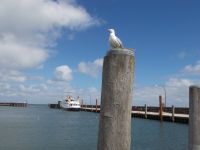 DSCN6251.JPG   Hörnum