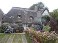 DSCN6274.JPG   Insel Föhr