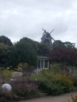 DSCN6284.JPG   Windmühle Venti amica