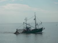 DSCN6380.JPG    Krabbenkutter