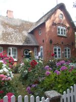 DSCN6399.JPG    Königspesel