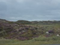 DSCN5215.JPG