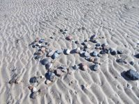 DSCN5231.JPG  Watt