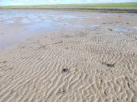 DSCN5232.JPG