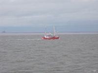 DSCN5255.JPG