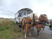 DSCN5287.JPG  unsere Pferdekutsche