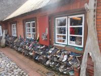 DSCN5296.JPG