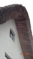 Föhr Reetdach