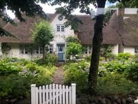Föhr