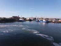 Hafen Büsum