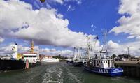 Hafen von Büsum