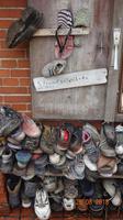 Hallig Hooge (4)