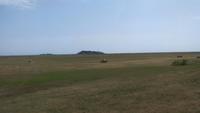 Hallig Hooge, die Königin der Halligen