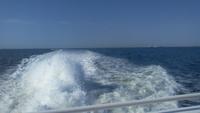 Hallig Hooge, mit dem Express zur Halligen