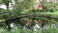 Hallig Hooge