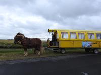 Hallig Hooge