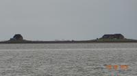 Halligwelt in der Nordsee
