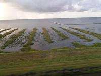 Landgewinnung 