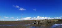 Landschaft bei Nordstrand 