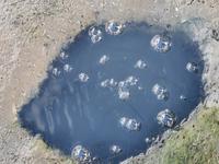 Muschelloch