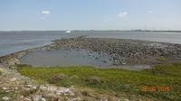 Nordfriesland Eidersperrwerk (3)