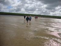 Nordstrand