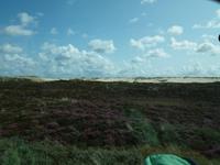 Rundfahrt auf Sylt