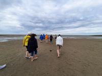 Rundreise Nordfriesland - Wattwanderung in Nordstrand