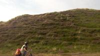 Sylt
