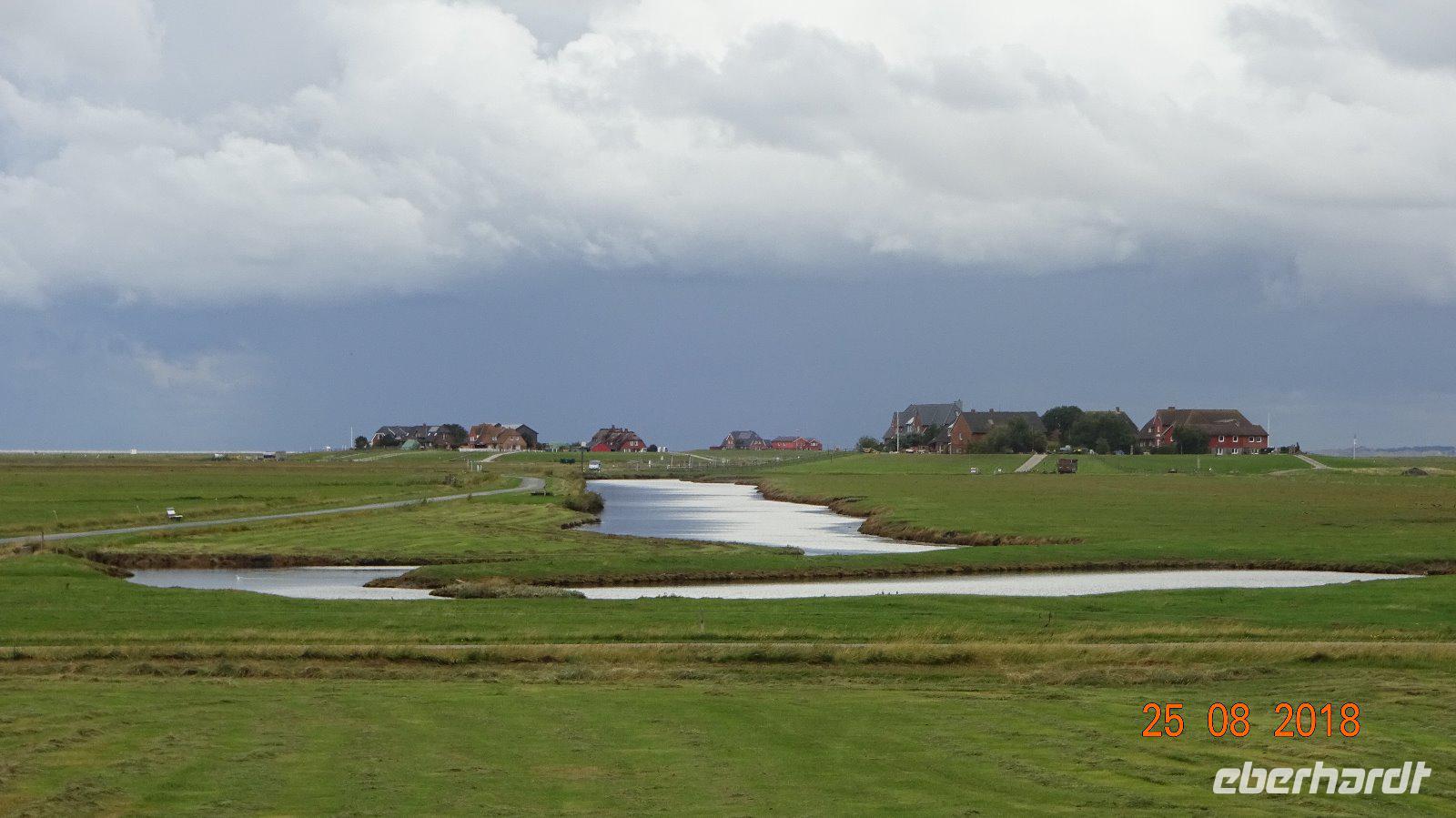 Tag Hallig Hooge