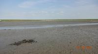 Tag Nordfriesland Wattwanderung Nordstrand