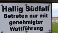 Unsere Wattwanderung kann beginnen