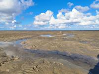 Wattlandschaft