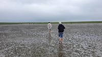 Wattwandern auf Nordstrand
