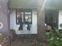 Westerland Shop