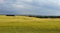 Willkommen zurück in Sachsen