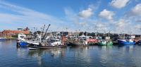 der Hafen in Büsum