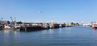 der Hafen in Büsum