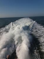mit dem Schnellboot nach Hallig Hooge