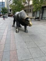 Beliebt bei Alt und Jung und gar nicht wild