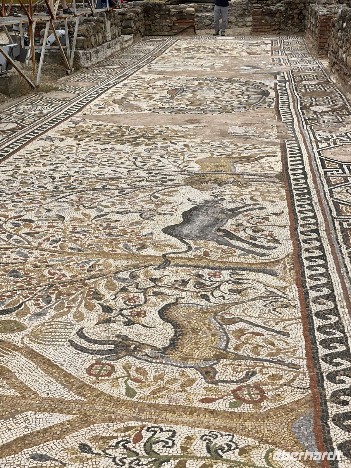 Mosaikboden in Herakleia Lyncestis