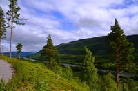015 Im Østerdal am Fluss Glomma