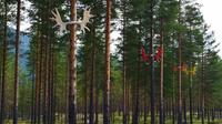 019 Elverum, Glommatal