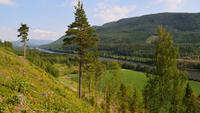 023 Elverum, Glommatal