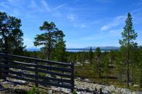 102 Femundsmarka